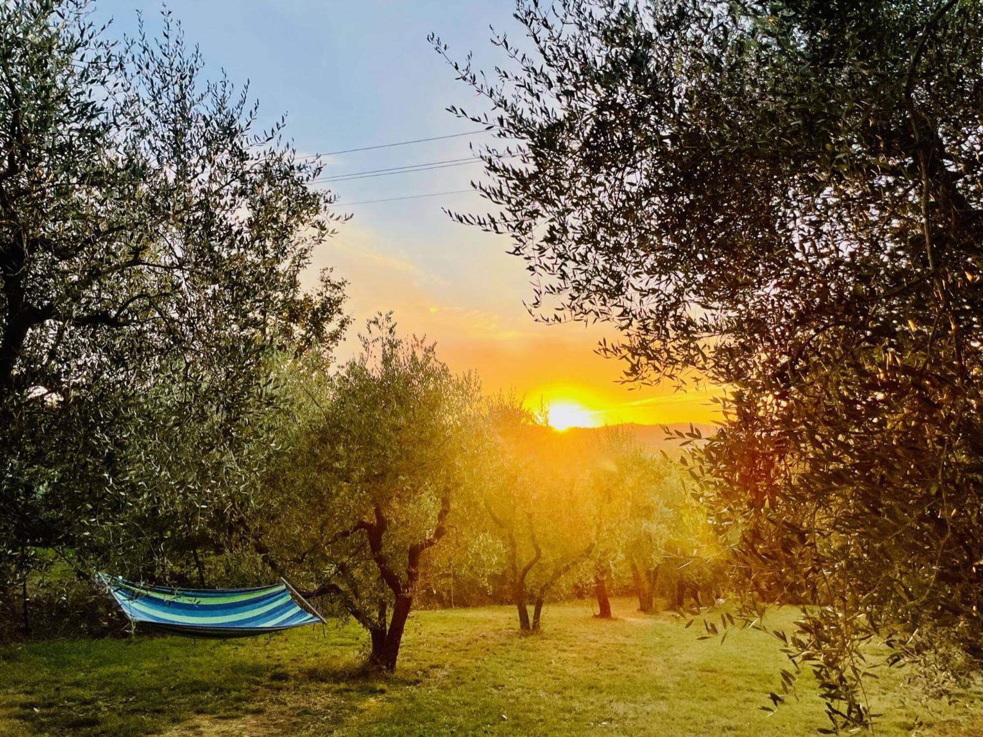 Agriturismo Casaviva Pozzo  外观 照片